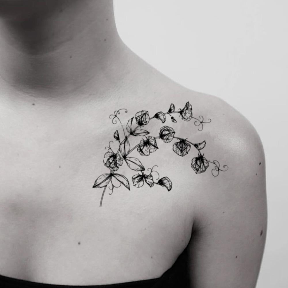 daisy and sweet pea flower tattooTikTok Search