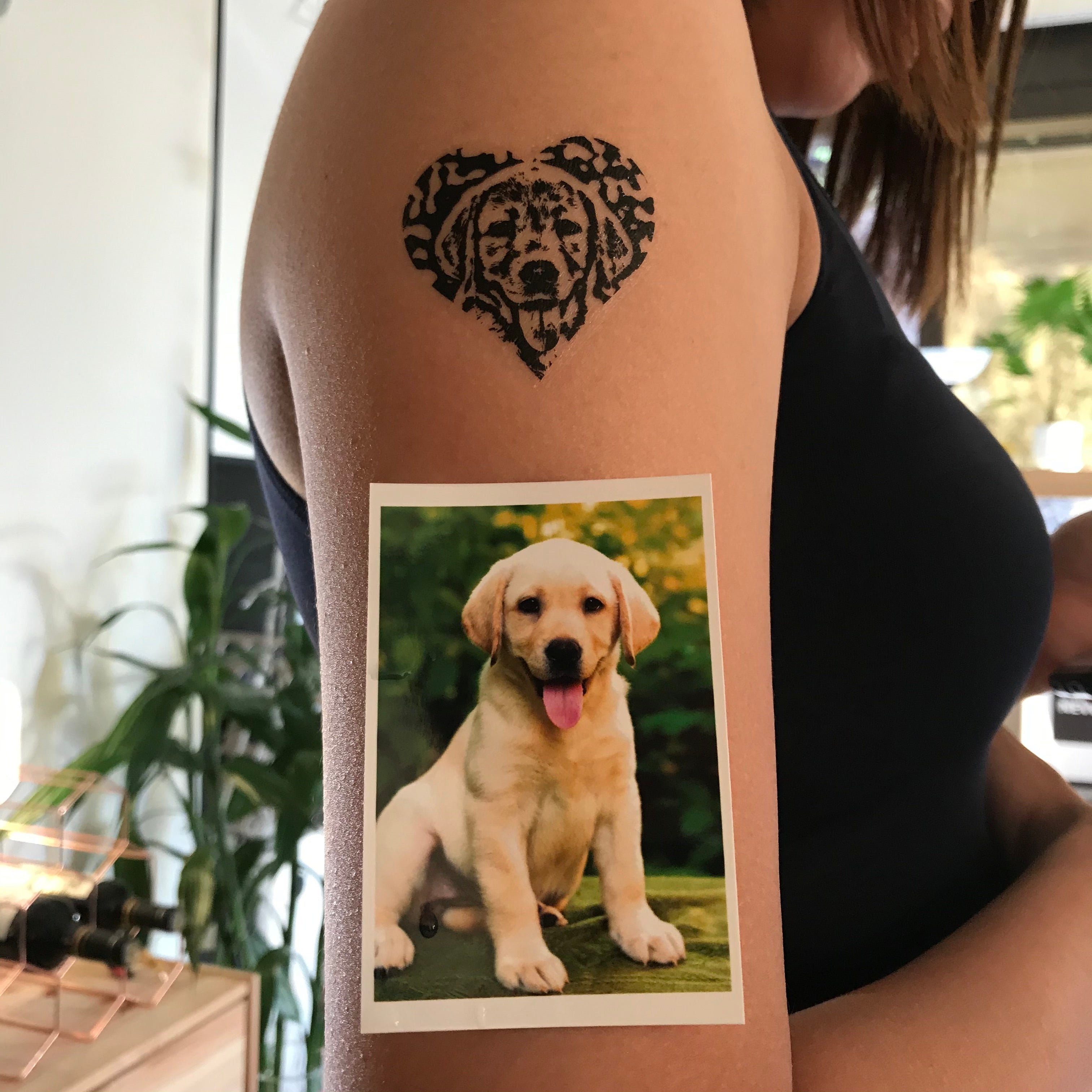 Pitbull Terrier Blue Pit bull Dog Puppy Pet Happy Pet Temporary Tattoo  Sticker - Shop LAZY DUO TATTOO Temporary Tattoos - Pinkoi