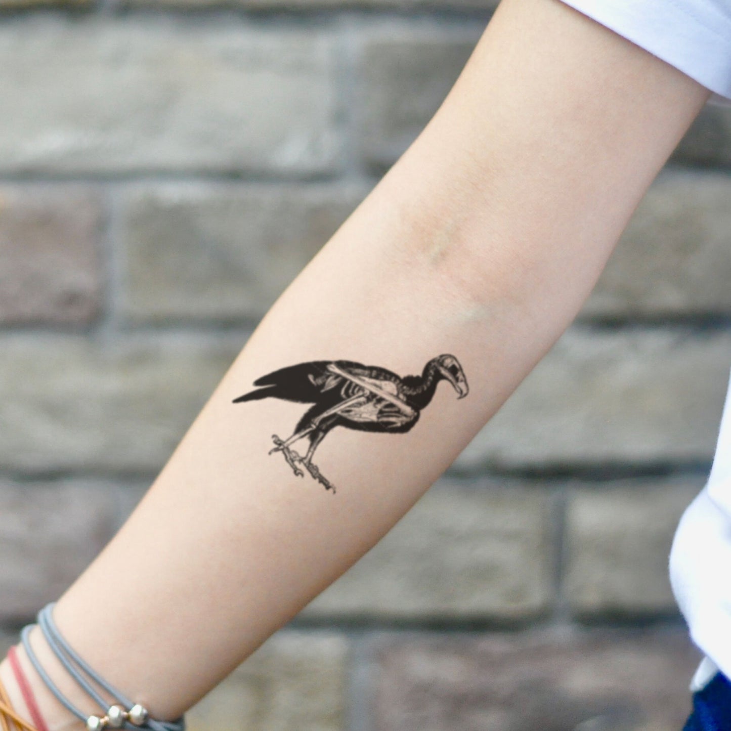 fake small buzzard animal skeleton skull animal temporary tattoo sticker design idea on inner arm